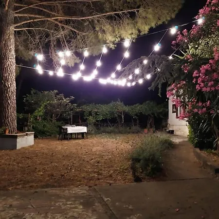 Tenuta Sgb Il Profumo Del Vino Etna *